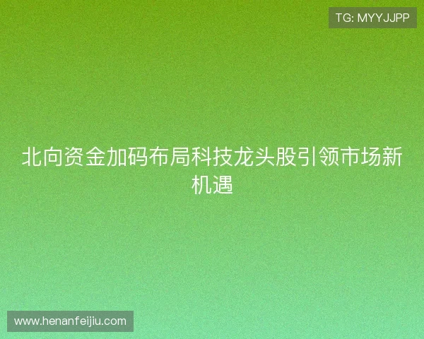 北向资金加码布局科技龙头股引领市场新机遇